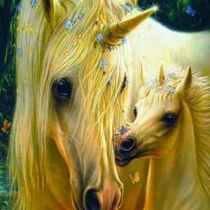 Meet your Posher, Dawn